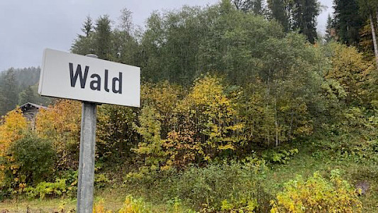 Foto, das ein Schild mit der Aufschrift "Wald" vor einem Wald zeigt