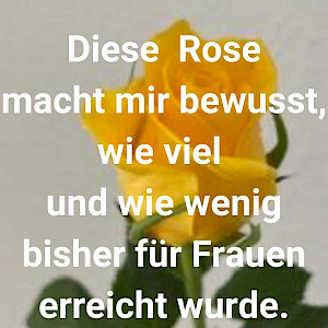 Diese Rose macht mit bewusst, wie viel und wie wenig bisher für uns Frauen erreicht wurde.